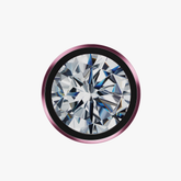 Sapphire Lens Guard (Burgundy)